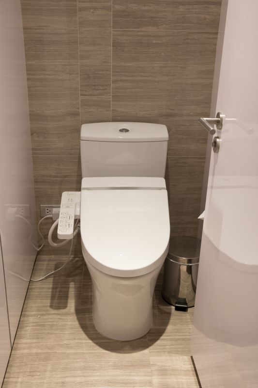 Wall-Mounted Toilet and Bidet
